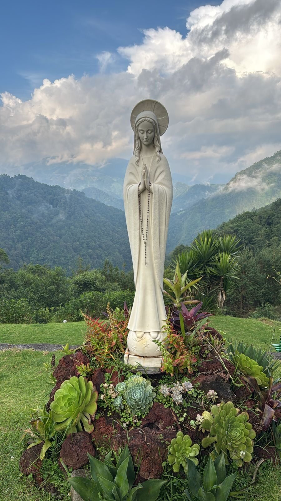 31df47ed-45b8-408a-bf19-05fe07c6ea82_Original